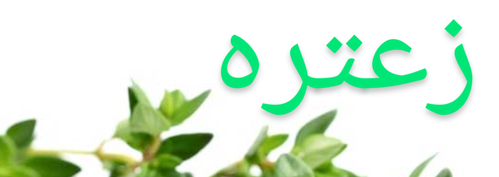 موقع زعتره